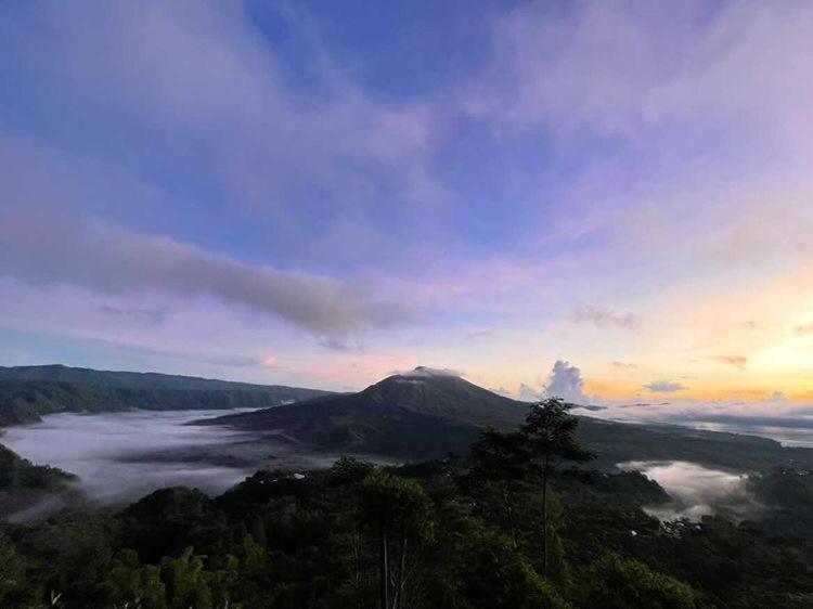 Tukadsari Camping Kintamani Dış mekan fotoğraf